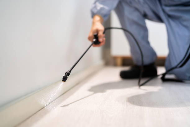 Certified termite inspector examining foundation in Fresno